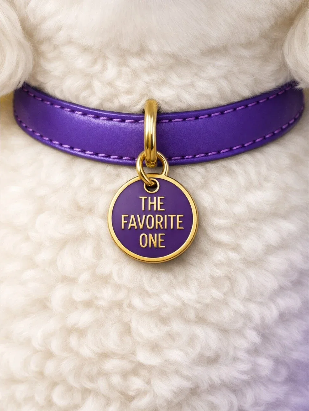 Dog/Cat Pet Collar Charm -The Favorite One, Metal Enamel SMALL .75